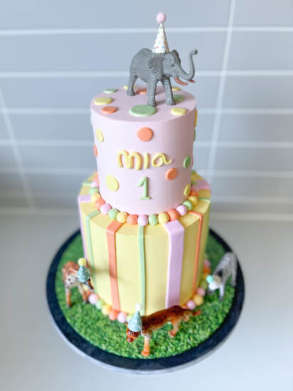 Safari Kid Cake